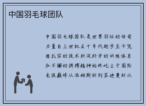 中国羽毛球团队